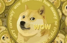 马斯克更换推特头像，不再与DOGE有关