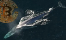  被标记为第三大比特币巨鲸地址在12月29日增加120 个BTC