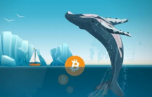 第三大比特币巨鲸今日再次购买372个BTC