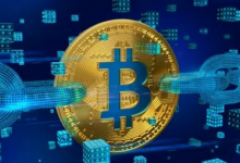  纽约市长：我很期待第一笔比特币薪水