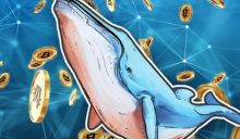 第三大比特币鲸鱼于今日再次加购289枚BTC