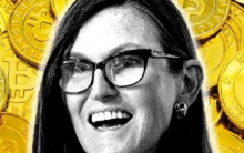 基金大跌减持特斯拉！木头姐发争议言论：称赞萨尔瓦多投资比特币