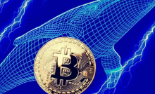 鲸鱼在比特币突破42000美元之前增持4万枚BTC