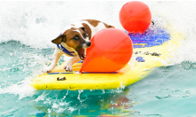 2022年迄今为止，加密货币抛售已使整体市值缩水7000亿美元