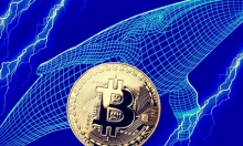 匿名巨鲸在市场下跌期间购入488枚BTC后，持币量超越MicroStrategy