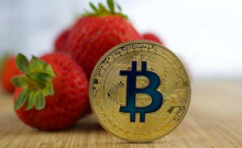 从比特币价格看2022年加密市场未来走势