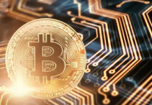 谷歌趋势：“Bitcoin”和“Gold”搜索热度激增