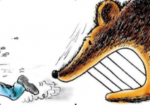 俄乌战争引比特币大跌 避险属性被证伪？