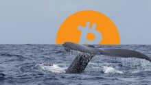  BTC鲸鱼活动已降至一年内最低水平