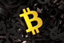  数据：长期持有者的加密钱包中BTC数量持续增加