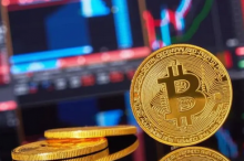 数据：在危机期间，加密资产的表现优于股票等传统风险资产