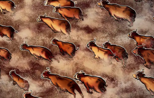  比特币多头瞄准 45,000 美元，而一些分析师警告可能出现回调