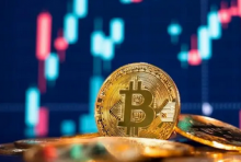 加拿大总理候选人：加拿大人应该有选择使用比特币的自由