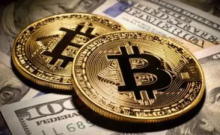 Pello Capital接受加密货币支付年费