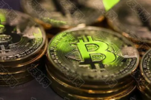  Cathie Wood：未来机构的比特币配置占比或将提高至2.5%