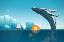  比特币第三大巨鲸增持1,000BTC