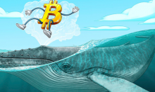  分析：较小的比特币鲸鱼可能会使比特币价格免于“投降式抛售”