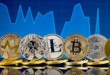  V神：低碳与科技左派的分歧不是唯一的分歧，所有的团队都有分歧