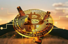 IntoTheBlock：着眼长远的BTC持有者正在增持