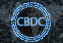  印度储备银行副行长：央行数字货币可能会扼杀加密货币