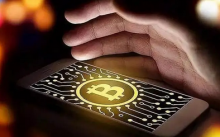 美联储称近一半美国加密投资者是高收入人群