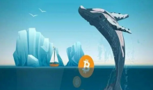  第三大比特币巨鲸今日增持565枚BTC