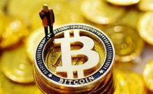  数据：第三大BTC鲸鱼再次购买255 BTC，该地址本月已购买2,318 BTC。