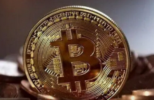 比特币暴跌吓退散户投资者 加密货币信仰者仍选择坚守