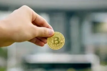  塞尔维亚王子：阿拉伯国家可能很快采用比特币