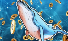  数据：过去一个多月比特币巨鲸增持超5万枚BTC