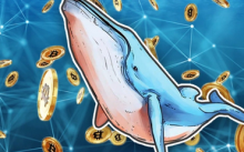  数据：持有1000枚以上BTC的巨鲸已从交易所提取869万枚比特币