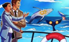 什么是比特币观鲸以及如何追踪比特币鲸鱼？