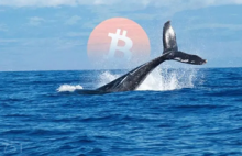  比特币第三大巨鲸地址已转移1.55万枚BTC