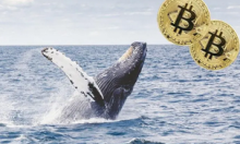 比特币第三大巨鲸地址余额清零