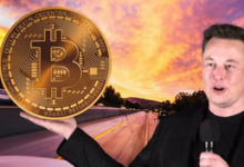  马斯克：对未来增持比特币持开放态度