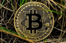 美国参议员提出法案，使50美元以下的加密交易免税