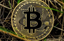  法国立法者呼吁建立加密委员会