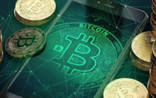  报告：比特币、以太坊和Solana活跃贡献者数量自2018年1月以来年均增加71.6%