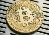  调查：近40%的美国投资者在市场不确定下购买更多的加密货币