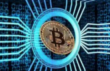 华尔街日报：北美养老金在熊市仍看好加密市场