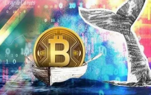 比特币鲸鱼增加销售，比特币从 20,000 美元被拒绝