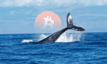 数据：2013年创建的某比特币地址向Kraken转出全部约5000枚BTC