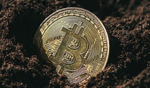 BTC 休眠达到历史新高 1250 万比特币停滞了一年多