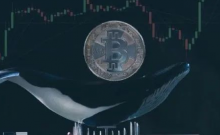 六千个比特币在单笔交易中从币安流出，有望突破两年最窄交易区间