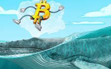 比特币鲸鱼以“经典”底部信号将 BTC 发送到期货交YI所