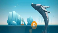 数据：比特币第三大巨鲸昨日增持1167枚BTC