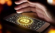 日本抢滩Web3：“樱花”如何在加密彼岸绽放