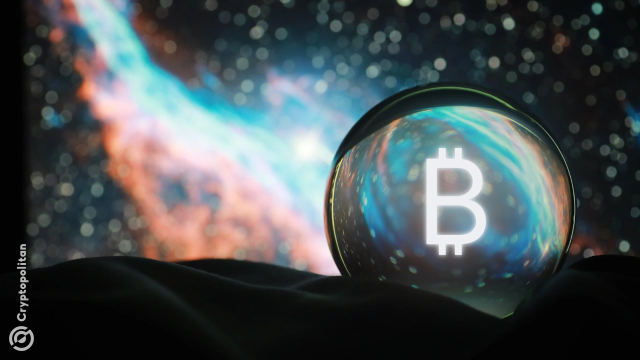 2024年实现了哪些预测：比特币（BTC）如预期般上涨，NFT市场没有回来