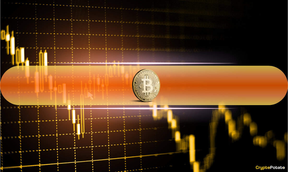 币安的比特币收购量达到83亿美元：这对市场意味着什么