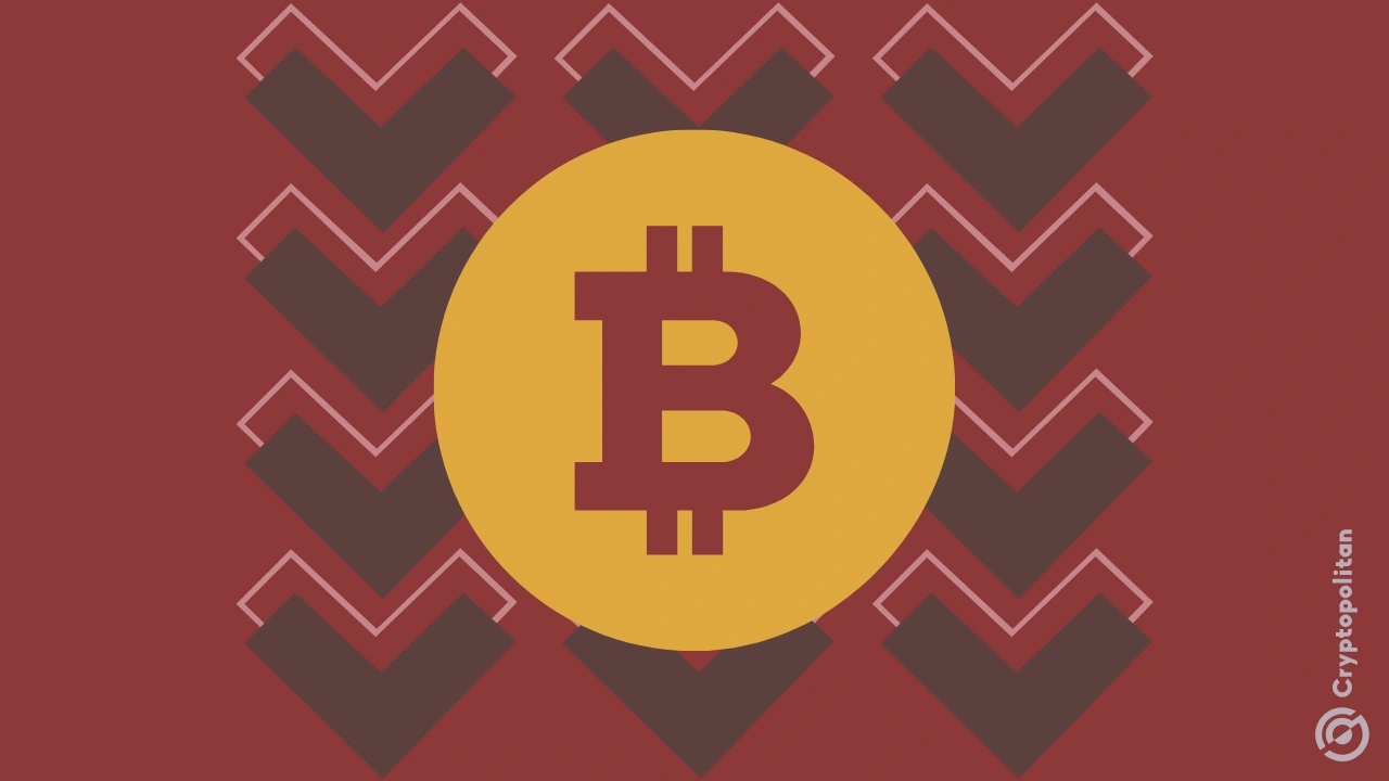 比特币将完成一个出色的一年，大幅亏损